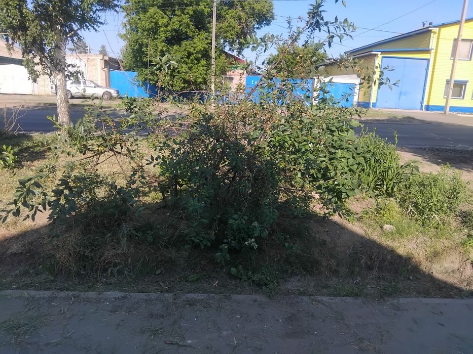 Продам       дом