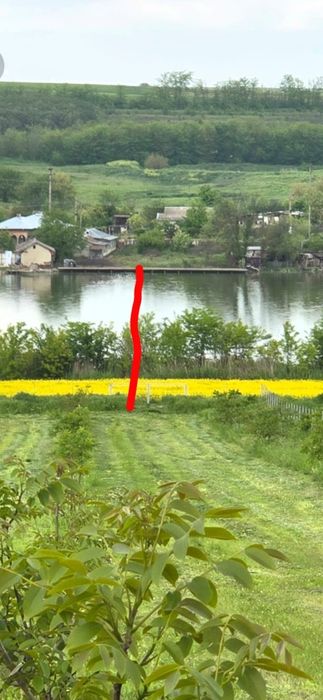 Vand casa la balta si 5000 metri patrati cu livada de 110 nuci