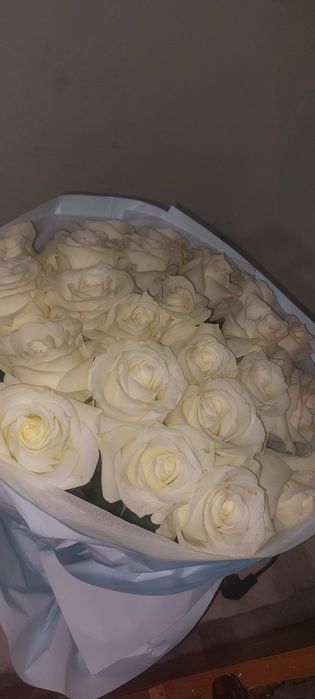 Продам 25 штук розы белые