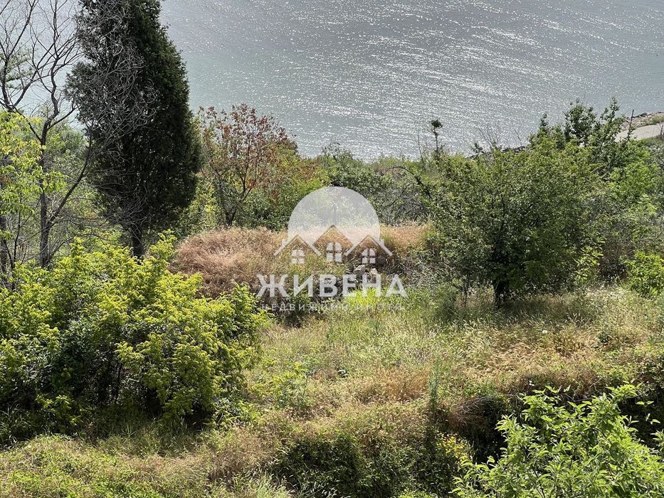 Продава се Парцел в с. Осеново, Област Варна - 524 кв.м за 77 €/кв.м - Снимка #4