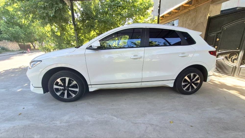 BYD e2 luxury position 2024
