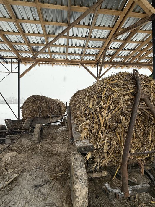 Baloții de tulei de vanzare