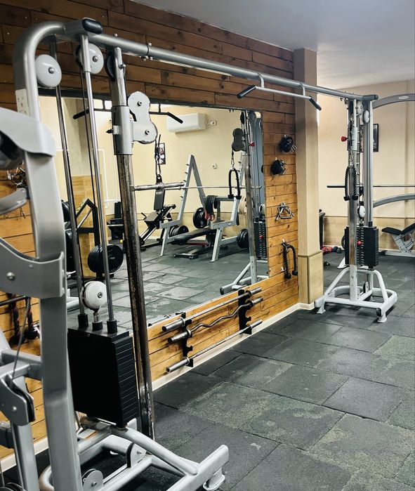 Портален скрипец