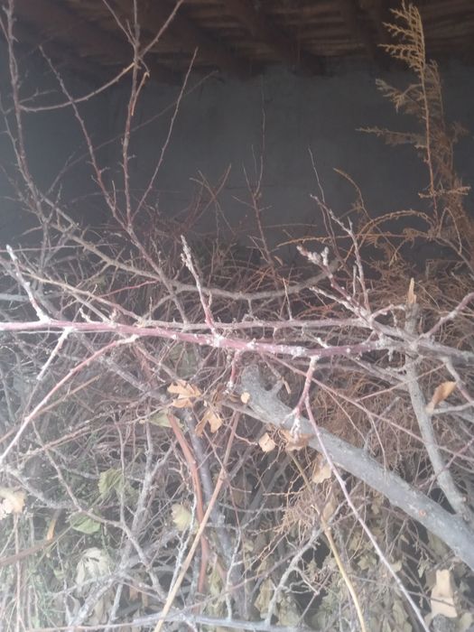 продаётся дрова.