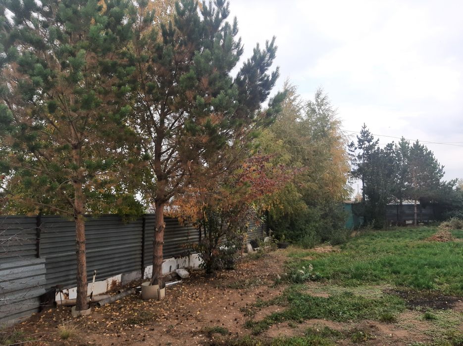 Продам дачу в СНТ "Водолей", район Байконур, г. Астана