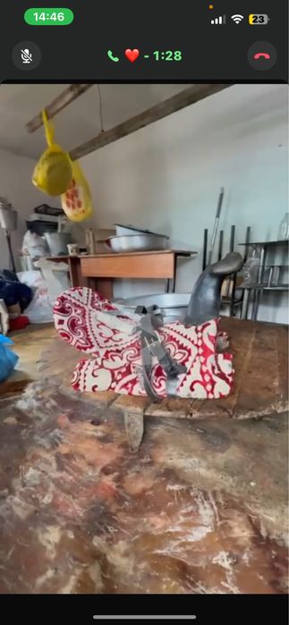 Ертоқым атқа жақсы