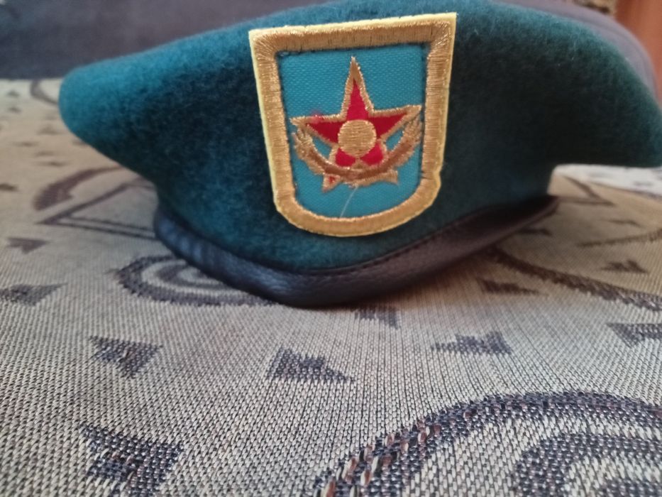 Береты темная полынь