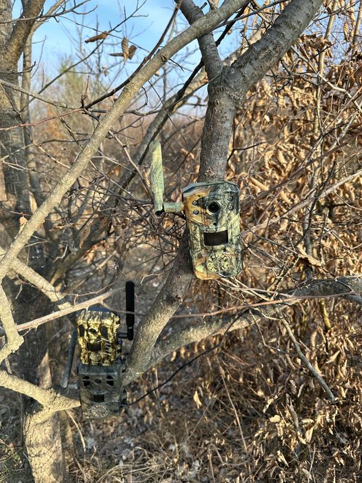 ForestCamLive F1 ORIGINALA Vanatoare 4G Camera