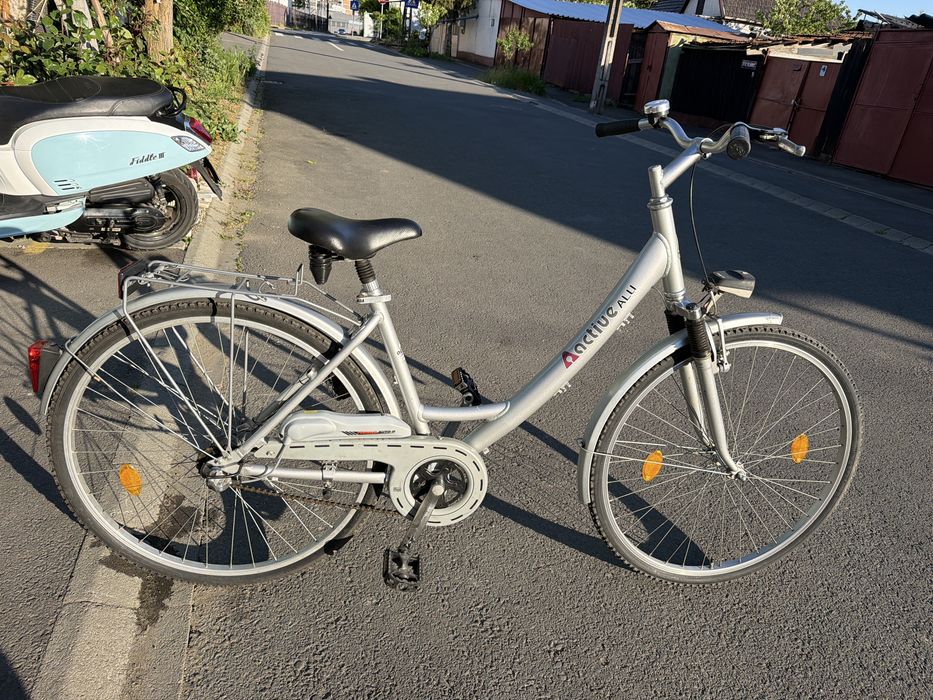 Bicicleta argintie de dama
