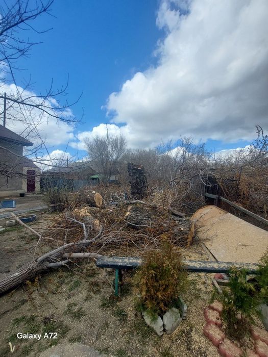 Спил деревьев профессионально