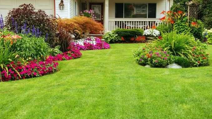 Искусственный газон