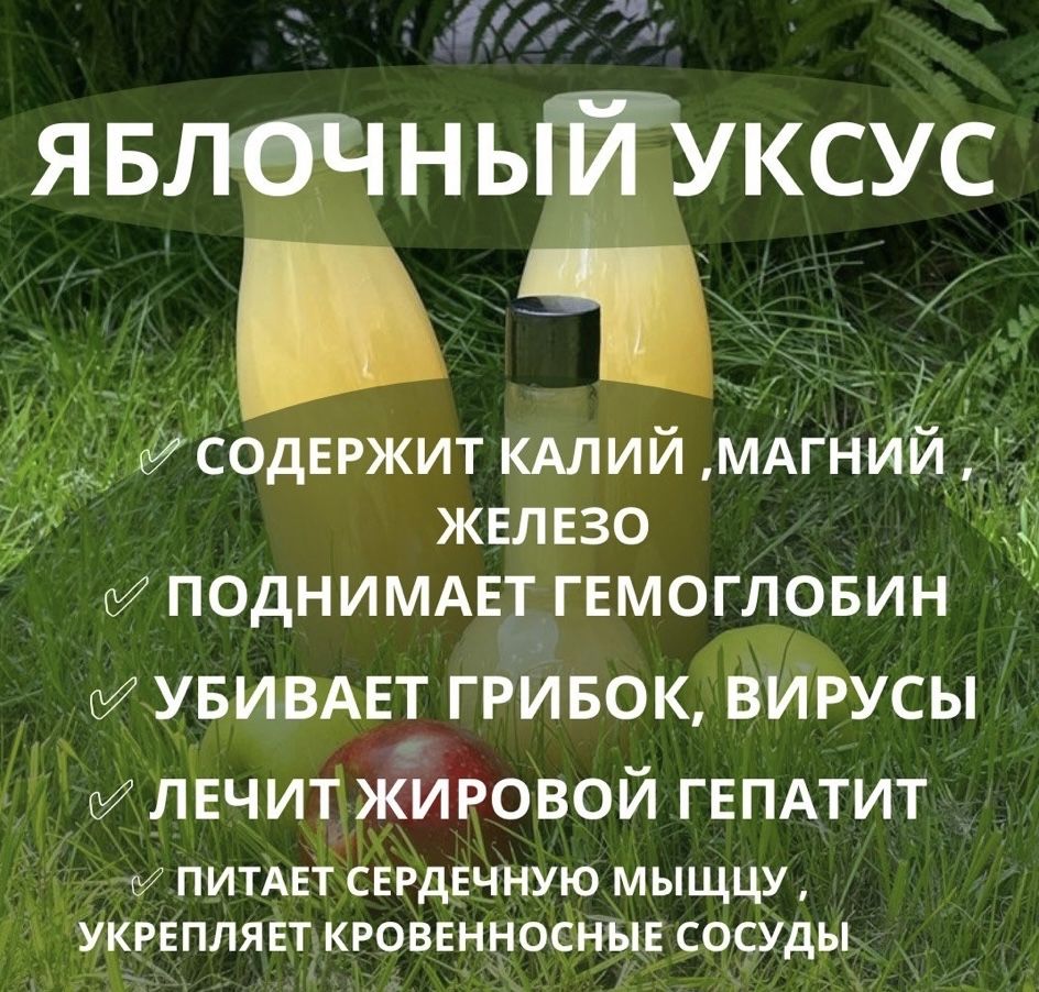 Яблочный уксус натуральный: 3 500 тг. - Продукты питания / напитки ...