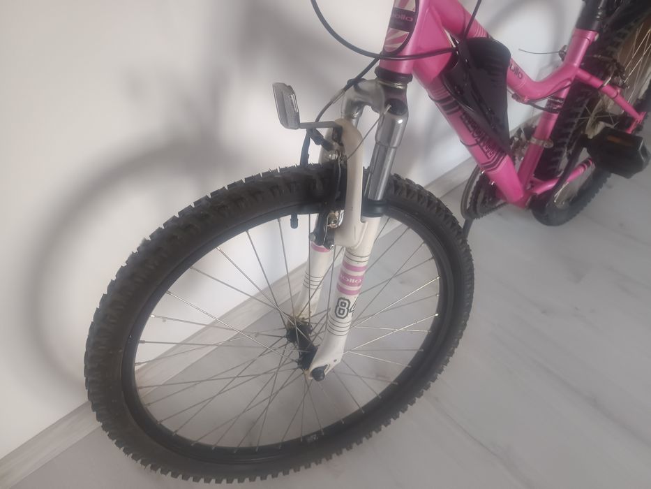 Bicicleta dama apollo