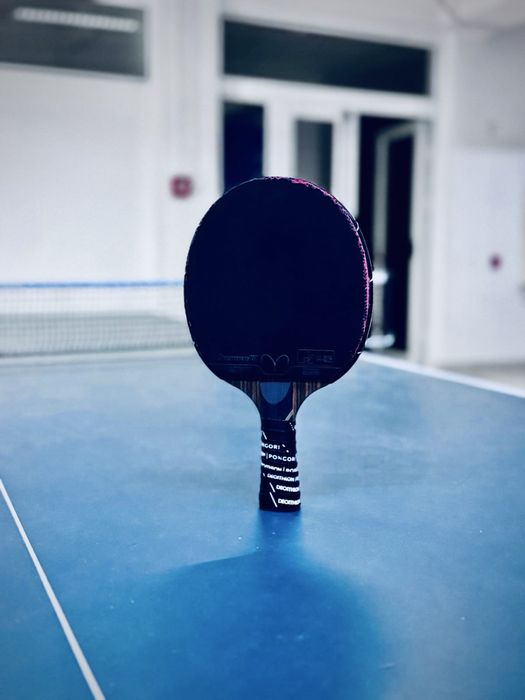 Paleta ping pong butterfly