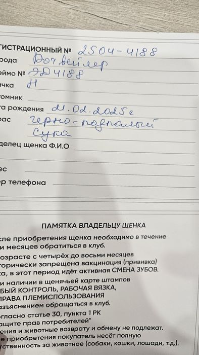 Продам ротвейлер, 1 год
