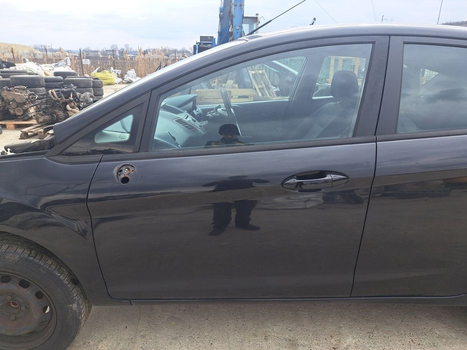 Usa stanga fata Ford Fiesta 6 [Fabr 2008-2019] Panther Black Metal