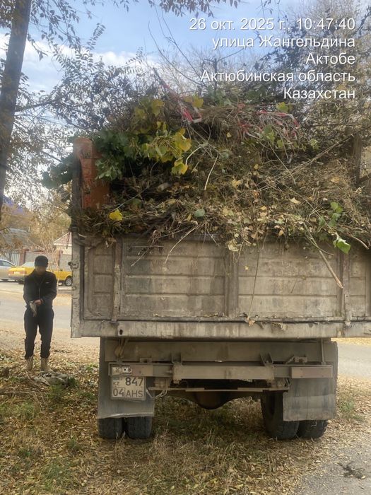 Ағаш, тал кесу актобе