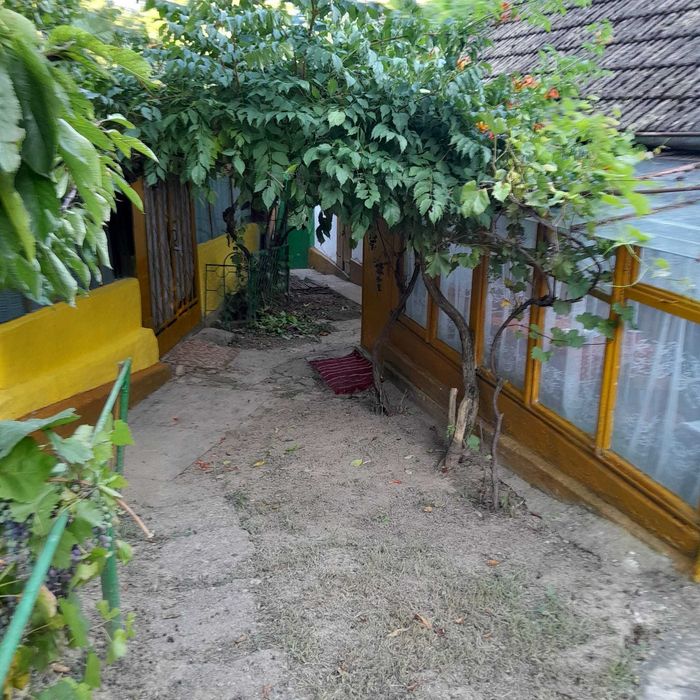 Casă bătrânească de vânzare + 6700 mp Cozia, jud. Iași