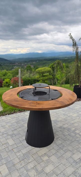 Gratar chef master protap gradina
