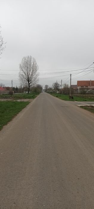 Teren intravilan arabil 3846 mp, Topraisar.Zona buna,sub pretul pietei