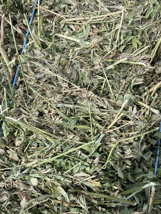 Baloti lucerna prima coasa 20-25 kg