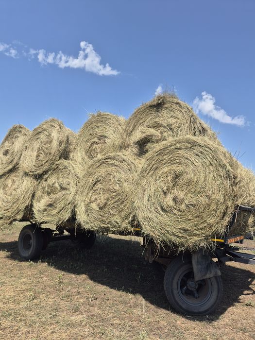 Продам степное сено.