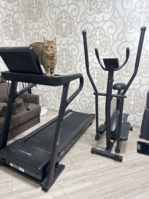 Беговая дорожка профессиональная