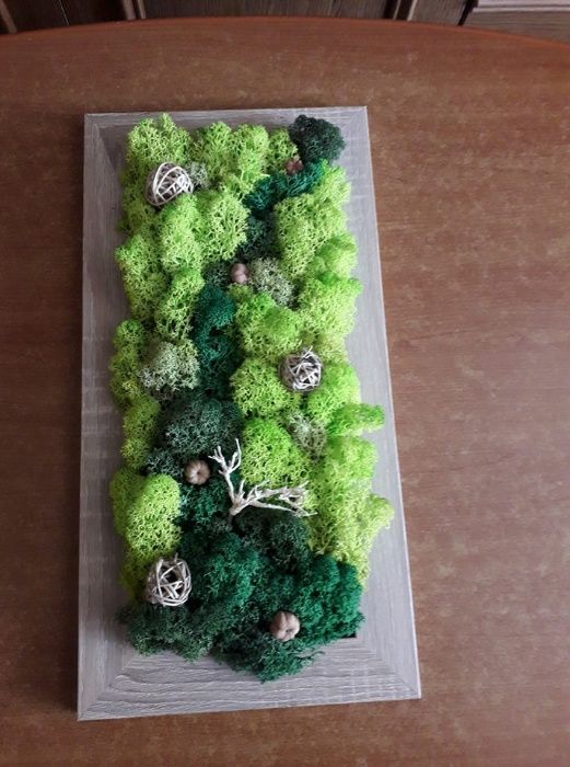 tablou licheni stabilizati