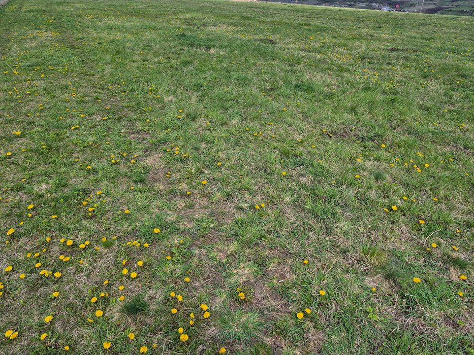 PF Vând teren construcții zona Calea Baciului