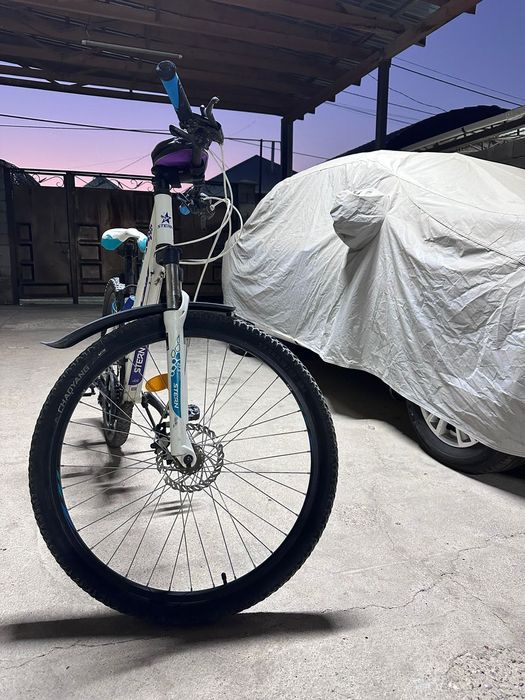 Велик STERN спортивный