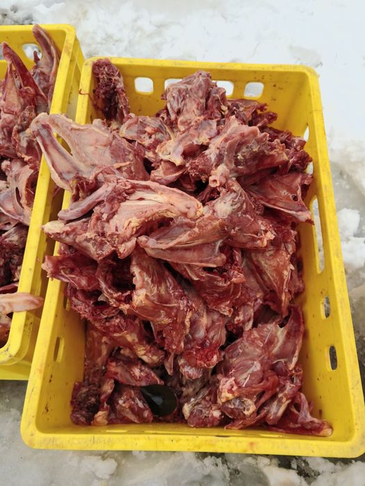 Колбаски для собак и кошек