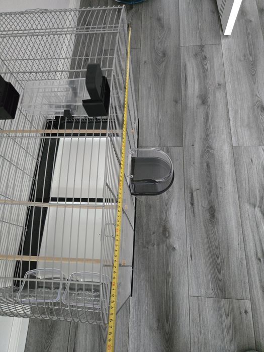 Cusca papagali spatioasa