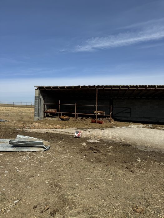 Фазенда ірі қара жылқы малымен