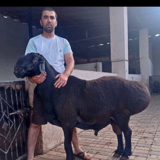 Sochli xolalar fotosuratlari