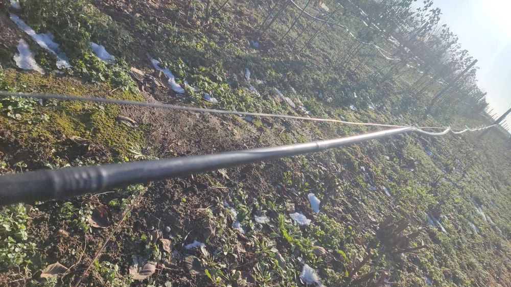 Folie de mulcire si furtun pentru irigatii prin picatura