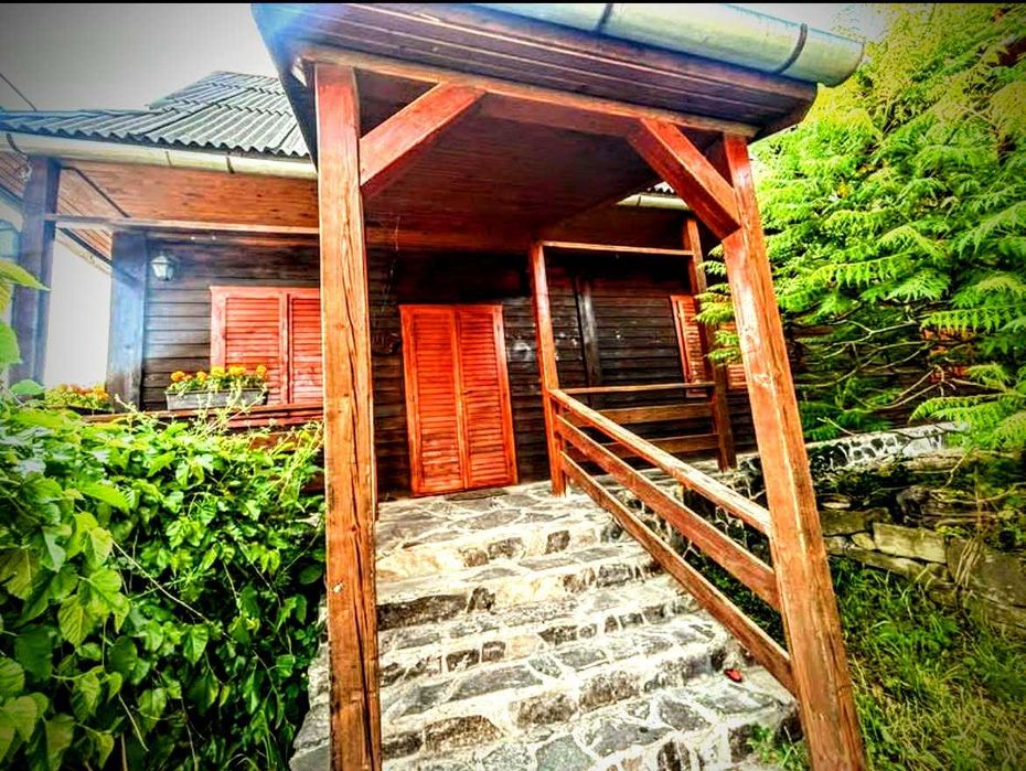 Casa de Vacanta cu 7 Camere