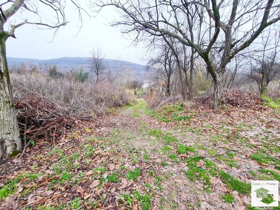 Продава се Парцел в с. Малки чифлик, Област Велико Търново - 1801 кв.м за 28 €/кв.м - Снимка #8