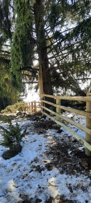 Gard robust din lemn tratat