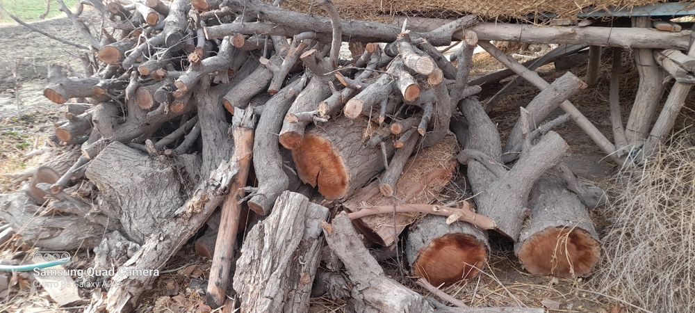 Утин сотилади срочна