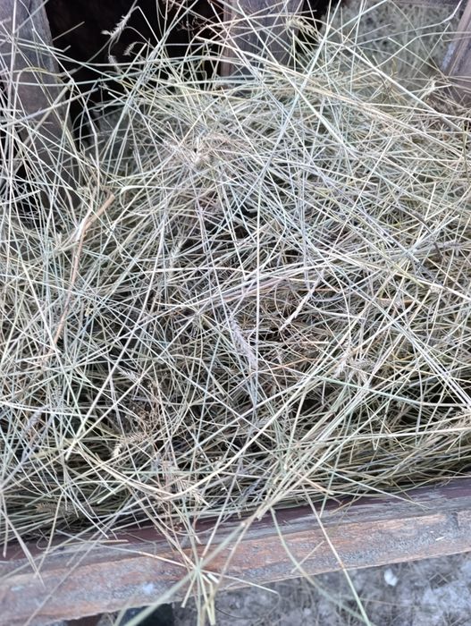 продам сено в рулонах 120ки