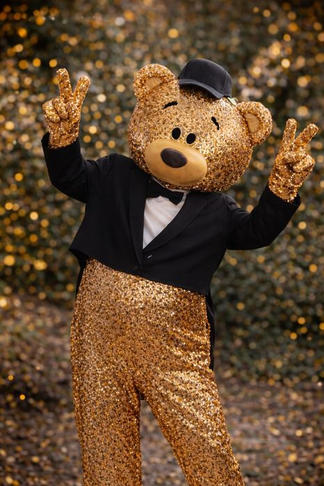 Аниматор мишка. Прокат