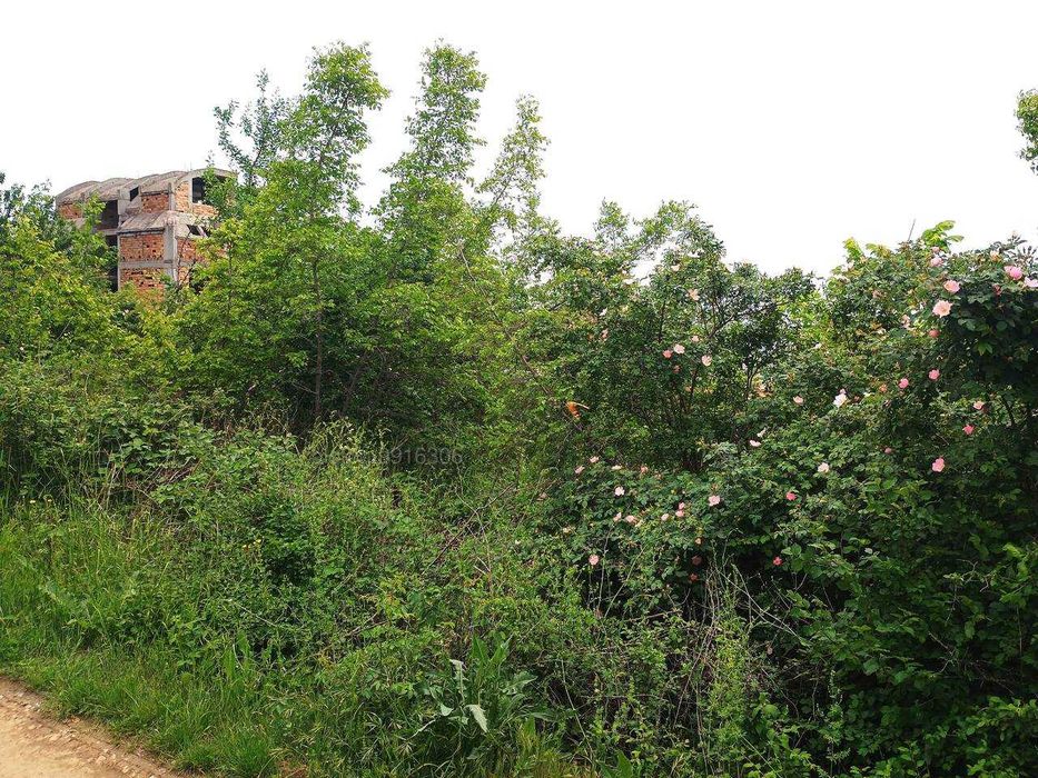 Продава се Парцел в Свети Влас - 500 кв.м за 138 €/кв.м - Снимка #6