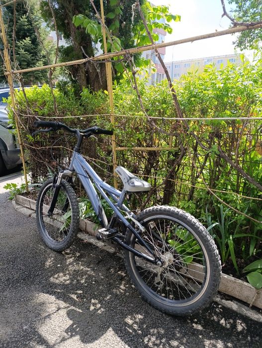 Bicicleta pentru copii