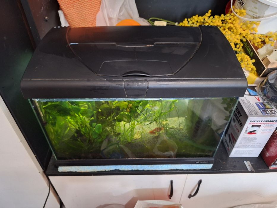 Аквариум ferplast capri 50