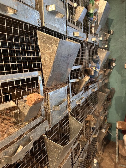 Продам клетки для животных