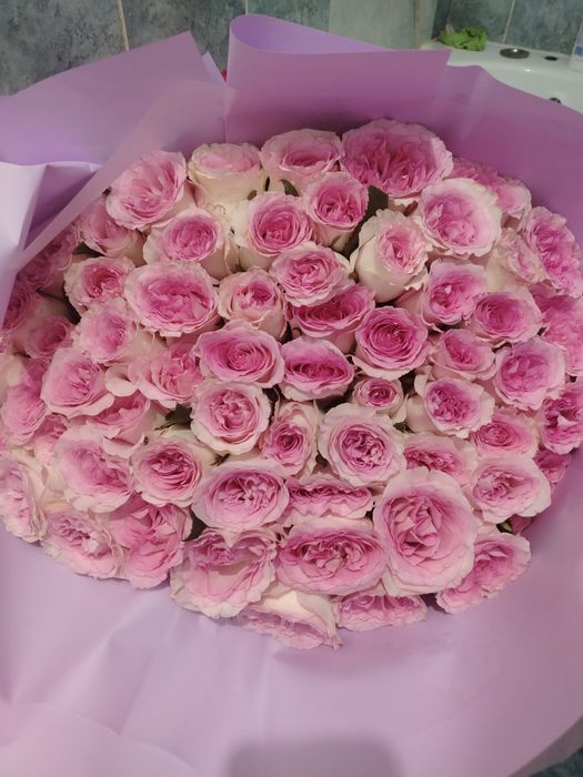 101 галански роза 20тг