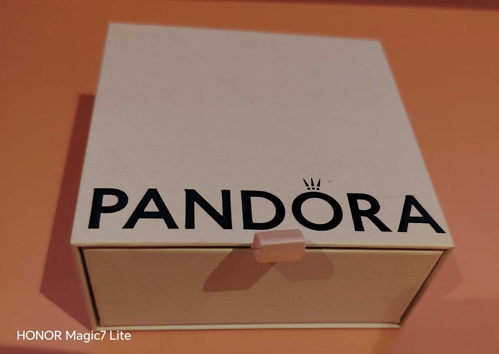Гривна Pandora Moments