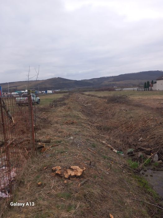 Curatam Defrisam terenuri