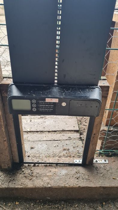 Vând usa inteligenta automata pentru coteț gaini pui