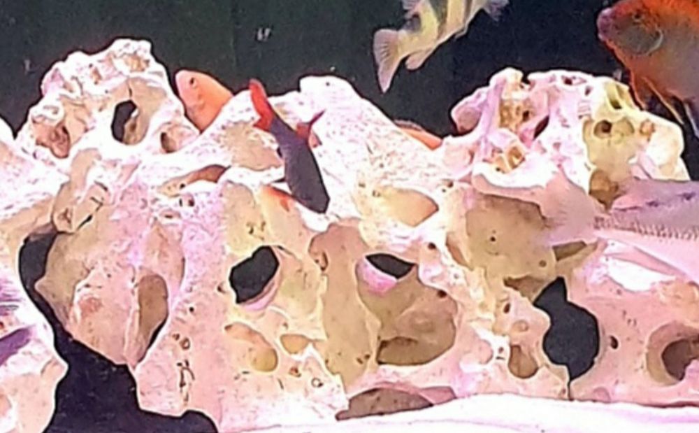 Камни для аквариума 18 килограмм.